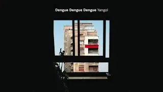 Dengue Dengue Dengue - Yangol