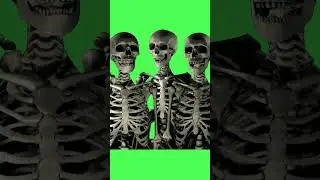 Skeletons For Halloween | Green Screen #short #shorts #greenscreen #halloween