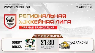 GORKY DUCKS - ДРАКОНЫ | 07.04.24