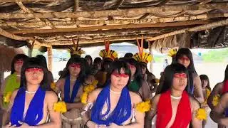 Xingu Indigenous