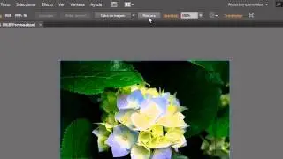 Cómo cortar una imagen en Illustrator