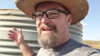 The Big Move: Relocating Horses to Their New Lease Pasture