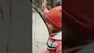 our mini zoo