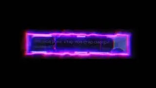 моя собачка одета дороже тебя