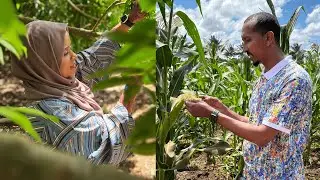 SOMALIA - BEERAHA AFGOOYE - RAAXO