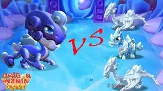 Max Hero Stardust dragon Level 77 - Perteet training hero fight - Dragon Mania Legends - part 694
