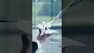 These Robot Birds Fly Just Like the Real Birds!