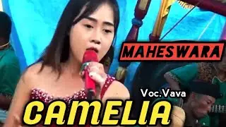 Camelia - Vava - Maheswara Cs