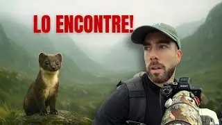 BUSQUÉ al animal MÁS ESCURRIDIZO DE NORUEGA (DURANTE 5 DÍAS)