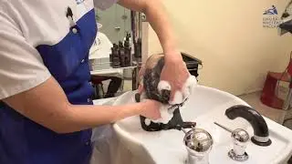 Обучитесь массажу головы онлайн