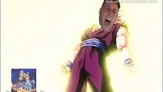 MOMO Grito