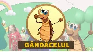 Gândăcelul - Trupa MARILI