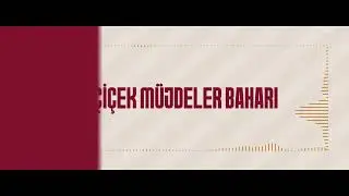 #AncakSaadetleOlur