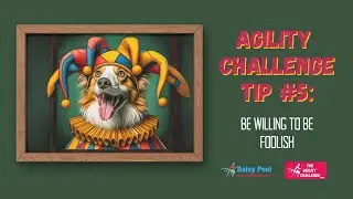 Agility Challenge Tip 5:Be willing to be foolish