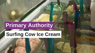 Primary Authority - Surfing Cow Ice Cream