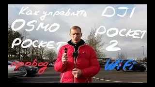 Как управлять DJI Pocket 1 и 2   4K