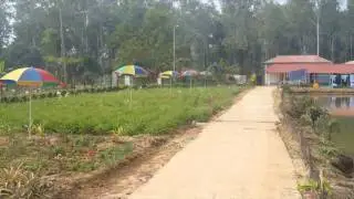 hotel banalata resort view