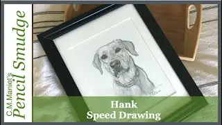 Hank