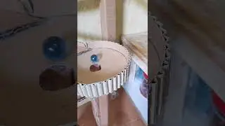 permainan kelereng seruh, marble run, marble game, #marblesrun #marblegame #marbleball #satisfying