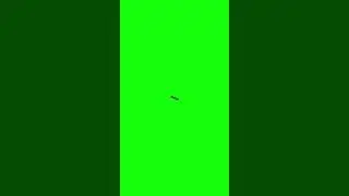 Tiktok iPhone green screen trending video