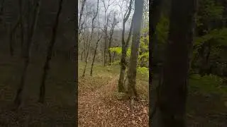 Невероятная атмосфера и природа в краснодарском крае 😻 