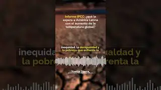 Lo más leído | Nuevo informe del IPCC, una nutria gigante que busca pareja en Argentina y más