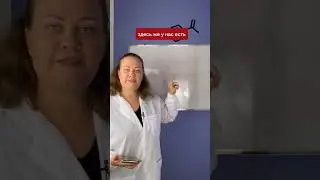 Строение кожи человека.