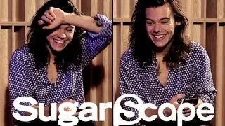 Exclusive interview with Robot Harry Styles