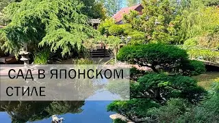 Сад в ЯПОНСКОМ СТИЛЕ: КОИ GARDEN в Германии