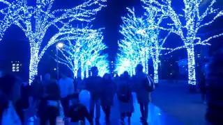 Illumination at Harajuku Park