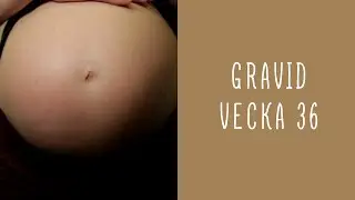 Gravid vecka 36