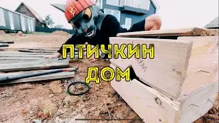 Птичкин дом или как спасти гнездо