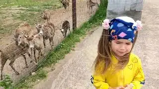 В гостях у животных! Экоферма Мой Мир!