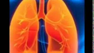 Mesothelioma cancer alliance