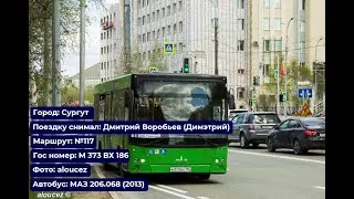 Сургут | Поездка на МАЗ-206.068 (2013) | М 373 ВХ 186 | Маршрут №117