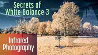 Secrets of White Balance for Infrared Photography 3: Curves