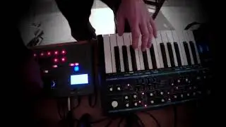 Bass station 2 Update AFX mode in action