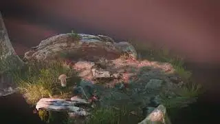 Micro Ecosystem Blender3D Asset