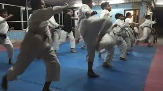 Mawashi Geri practice session
