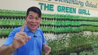 THE GREEN WALL: BBI ELEM. SCHOOL