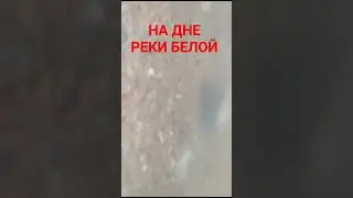 7 ноября 2023 г.