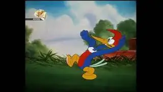 The Woody Woodpecker Woodpecker Show /Season 1, episode 1