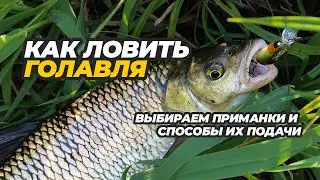 Проводки воблеров на голавля