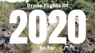 The Drone Flights of 2020 (So Far)