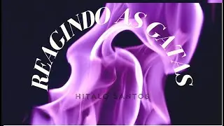 REAGINDO OS VIDEOS DAS MINHAS AMIGAS GATAS (hitalo santos)