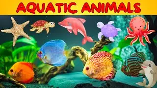 Aquatic Animals | Animals for Kids | Learning Educational Video For Toddlers