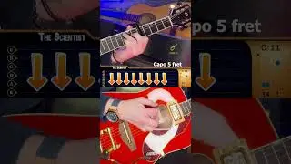 Coldplay - The Scientist | Chords