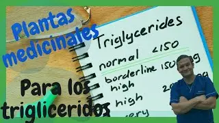 Plantas MEDICINALES para el control de los TRIGLICÉRIDOS