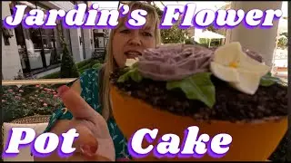Jardin's Flower Pot Cake!! In Las Vegas