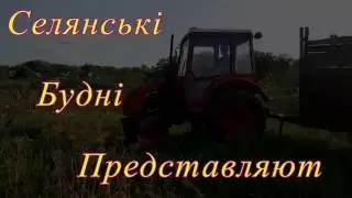 Собираем гарбузы ( тыкву) Т-25 Владимировец